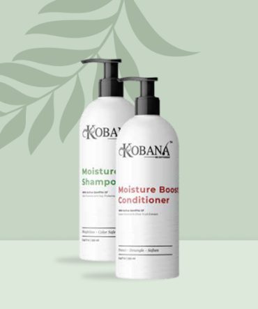 Moisture Boost Shampoo and Conditioner